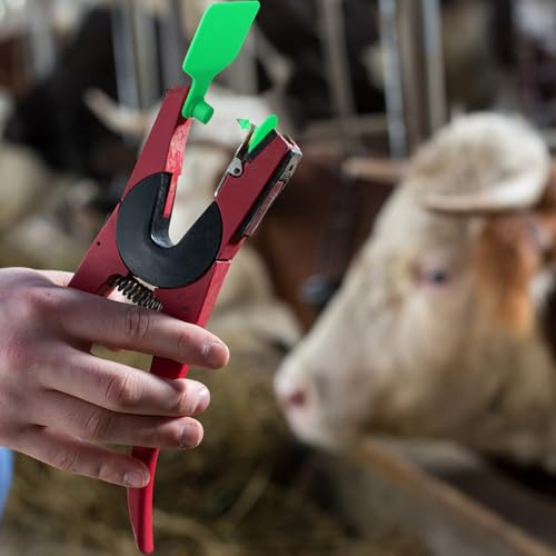 Lothee 100 Pcs Blank Cattle Ear Tags Large Plastic Precision Animal Identification Blank Livestock Ear Tags for Cattle Cow Horse Dog Pig Goat Sheep Farm Management (Green) - color: Green