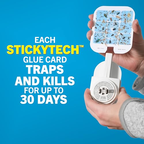 Safer Home Flying Insect Trap Official Refills | 6 Glue Card Refills for Plug-In Fruit Fly, Moth & Gnat Trap, Fruit Fly Killer, 24/7 Catch, SH506 - size: 6 Safer Home Glue Cards