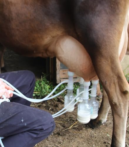 Ultimate Ez Bottle Milker EZ005 for Goats, Cows, and Sheep.