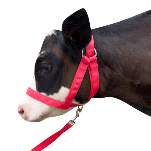 Cow Halter Cattle Halters Adjustable Calf Halter with Leading Rope for Horse Donkey Goat Nylon Cattle Training Supplies Pink L - color: Pink, size: L