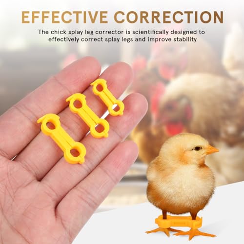 Chick Leg Bands, Splay Leg Brace Multi Size Poultry Splint | 4mm 5mm 6mm PVC supports, adjustable bird foot brace set for baby chicks, ducks, quails and pigeons