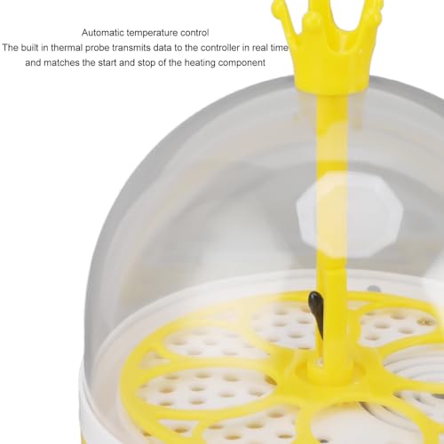 Small Incubators for Hatching Eggs, Mini Egg Incubator for Home Automatic Temperature Humidity Control Eggs Candler Poultry Hatching Machine for Chickens Ducks Pigeons (Auto - size: Auto Turning