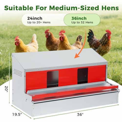 36" Redants Chicken Nesting Box, Metal Roll Away Nesting Boxes Chicken | Reversible Wall Mountable Chicken Laying Boxes, 36"×19.5"×20", Galvanized Steel, Waterproof, Up To 30+ Hens - size: 36.0"L x 19.0"W x 20.0"H