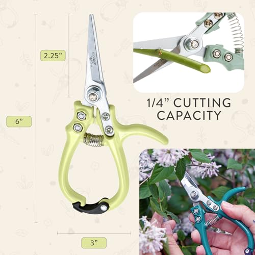 Modern Sprout Pruning Shears- Garden Snips-Herb Scissors- Chartreuse 1-Pack | Lightweight Gardening Tool - Durable Carbon Steel Blade W/Easy-Lock - Gardening Supplies - Flower Cutter - Reusable Holster - color: Chartreuse