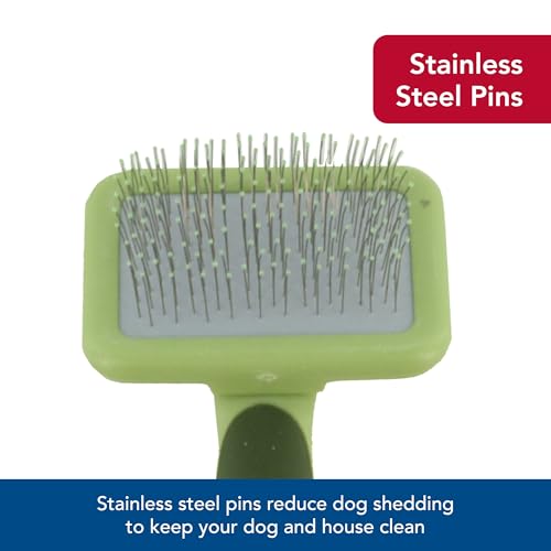 Coastal Pet Safari Dog Soft Slicker Brush - Dog Grooming Brush for Shedding - for Dogs with Short, Medium and Long Hair - Large - 6.75" x 4.375" - size: Large
