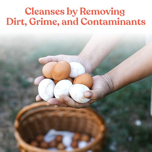 Manna Pro Egg Cleanser, Natural Enzyme Wash for Fresh Eggs, Safe & Gentle Cleaner for Backyard Chicken Eggs, 16 oz (Pack of 2) - size: 16 Fl Oz (Pack of 2)