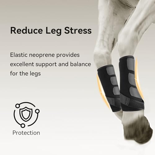 4 Pcs Horse Sport Boots - Neoprene Protective Breathable Comfy Mesh All-Round Lower Limb Protection & Support for Jumping Trail Riding Endurance Training and Performance - size: ‎Large / Full