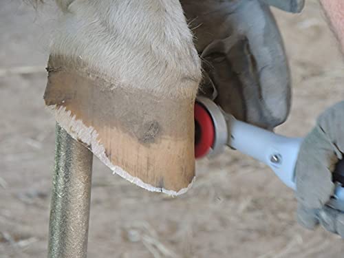 Horse Hoof Trimmers Kit, Complete 110V Electric Set with Supplies | Horse Hoof Trimming Tools, Farrier Tool Kit, Grinder Discs Included, Accessories Included