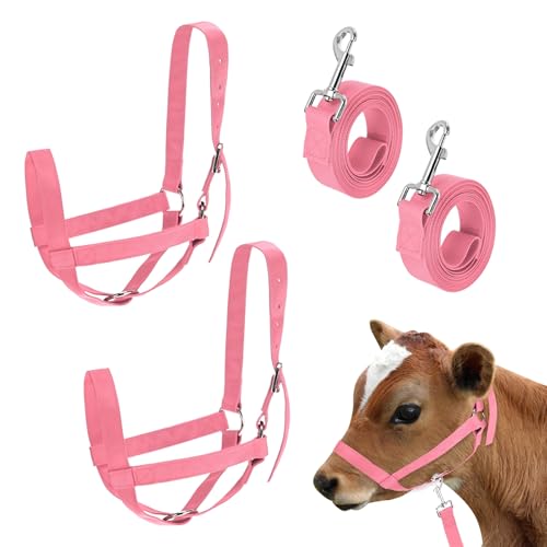 M METERXITY 2-Pack Adjustable Cattle Cow Calf Halter, 19.68"-23.62" Nylon Livestock Cow Halter with Leading Rope for Miniature Horse/Donkey/Goat/Cattle [Red]