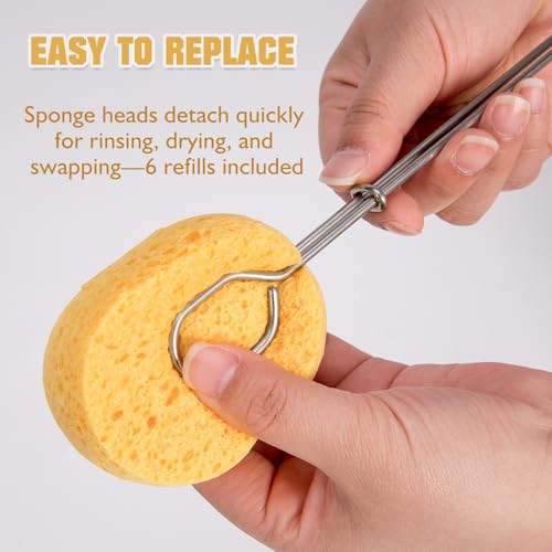 Cellulose Sponge Bottle Brush Set with Long & Short Handles, Non-Scratch Washing Cleaner for Wine Coffee Mug Glass Dishes with 6 Replacement Sponges - style: 2 Handles & 6 Sponges