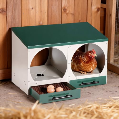 Chicken Nesting Box, Wall-Mounted Metal Roll Away Egg Laying Box | Galvanized Steel 2 Compartment Chicken Laying Boxes with Roll Away Egg Collection&Pull-Out Trays for Hens, Chickens, Ducks