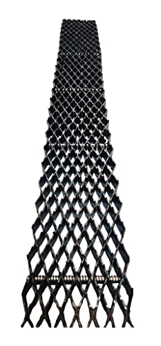 Cody James Dymondback Horse Rasp REFILL ONLY - Choose FINE, MEDIUM or AGGRESSIVE (AGGRESSIVE)