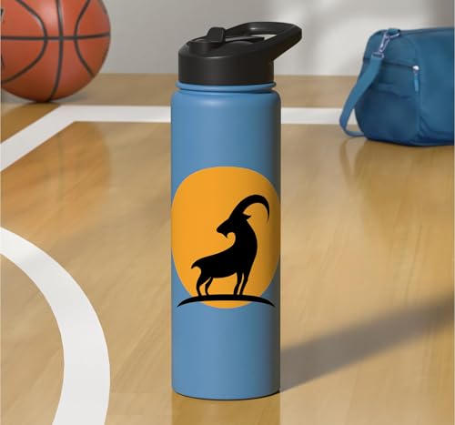 Sunset Wild Goat Capricorn Lover Gift Adult Men Women Kids Stainless Steel Insulated Water Bottle - color: Light Blue