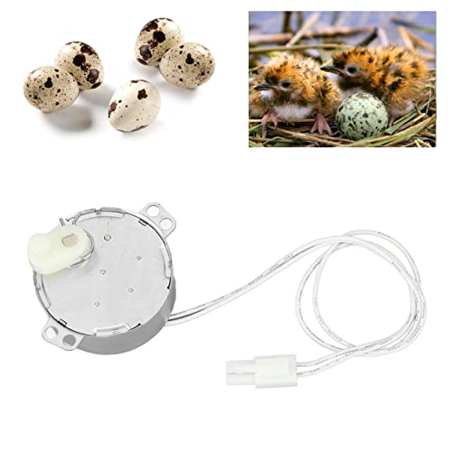 Replacement Egg Turner Motor, 4W Egg Turner Rotator Incubator Motor Electric Synchron Motor with Connector for Chickens Ducks Goose Birds Egg Hatching (100-120v)
