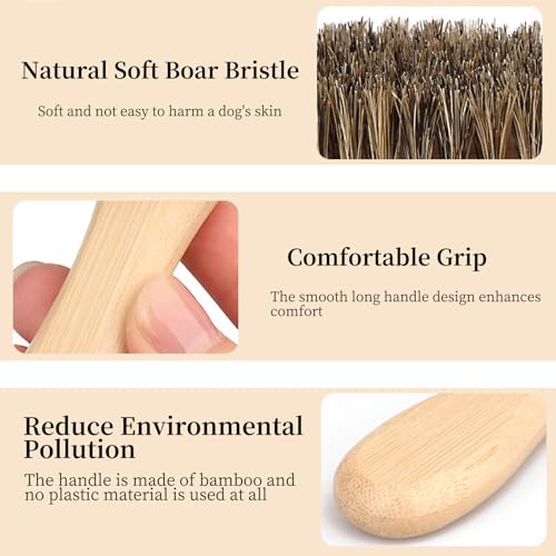 Soft Boar Bristle Dog Brush for Short Haired, Ideal Pet Hair Brush | Gentle Deshedding & Grooming Tool, Puppy Essentials for Grooming and Shedding