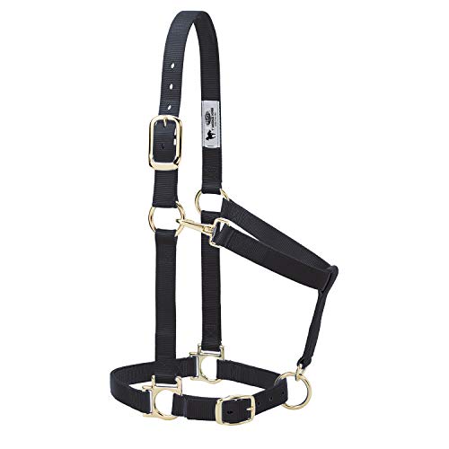 Weaver Leather Basic Adjustable Nylon Halter - color: Black, size: 1" Small Horse