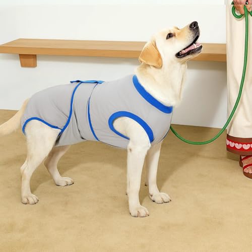 Recovery Suit for Dogs Cats After Surgery, Cone Alternative, Grey Blue, M | Soft Breathable Fabric, Prevents Licking & Scratching, Easy to Put On, Machine Washable, Post-Surgery, Wound Protection - color: Grey Blue, size: M (Back:13.4-16.1'', Weight:14-25