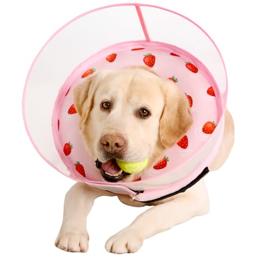 Inflatable Dog Cone Collar for Large Medium Small Dogs, Soft Dog Donut Collar Adjustable Recovery Cone for Pets After Surgery, Extra Enhanced Anti-Licking Guard Shield (Strawberry Print, Medium) - color: Strawberry Print, size: Medium