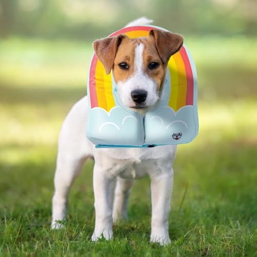 Rainbow Inflatable Dog Recovery Collar, Comfortable Cone Replacement for Pet Surgery, Protective Collars to Prevent Licking & Biting, Size Medium - size: Medium