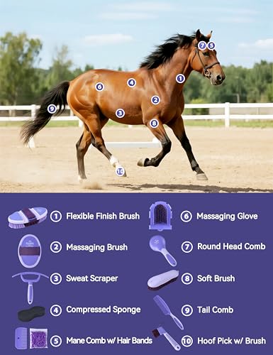 11-Piece Horse Grooming Kit with Waterproof Tote Sugar Taro | 10 coordinated horse grooming tools with comfort-grip designs and a spacious waterproof tote for complete horse grooming - color: Sugar Taro