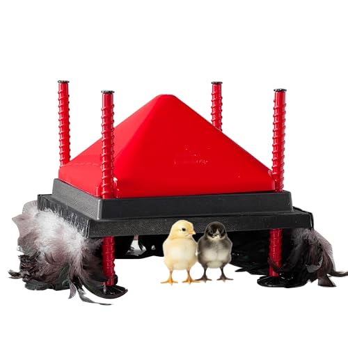 RentACoop 12x12” Adjustable Heating Plate with Hard Anti-Roost Cone Set