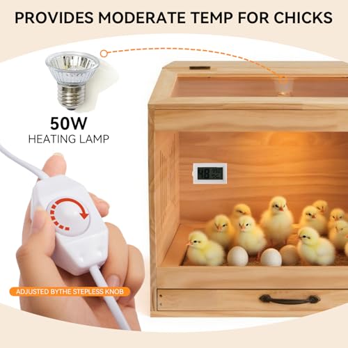 Brooder Box for Chicks, Wooden Chicken Brooder with Heat Lamp | Thermometer included, Clear acrylic panels, Slide-out mesh drawer, 5 disposable liners, Cleaning tools, Easy assembly