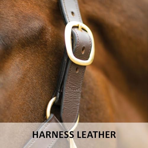 Dura-Tech Premier Lancaster Leather Halter for Horses | Simple Economy Leather Halter with Adjustable Fit & Solid Brass Hardware - size: Cob