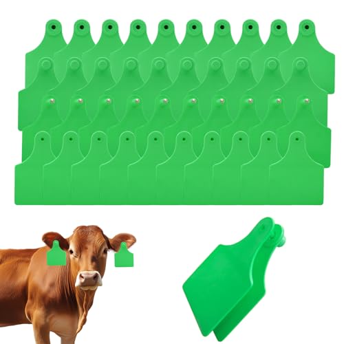 TPU Large Size Split Type Blank Large Cattle Ear Tags,50PCS Upgrade to Prevent Tampering Livestock Ear Tags, for Cattle,Sheep Goat, Pig, 3.9x2.9in (Green) - color: Green