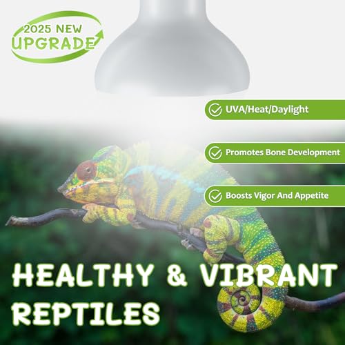 Reptile Heat Lamp Bulbs, Simulate Natural Sunlight Heat Light Bulb, 4 Pack 100W Amphibian Terrarium Basking Spot Lamp for Reptile, Bearded Dragon, Lizard, Turtle, Snake - color: Basking Bulb, size: Basking (2*100) (Pack of 2)