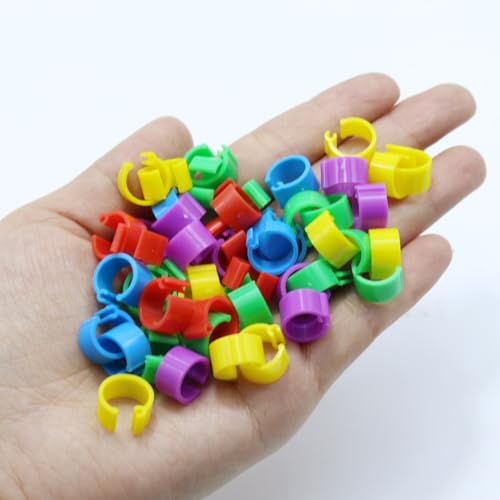 DoubleWood Baby Poultry Leg Bands 1/4" Medium Chick, 200 Pcs Coturnix Quail Leg Bands Baby Chick Leg Bands Pigeon Bands Chicken Leg Bands Rings (Medium 1/4") - size: Medium 1/4"