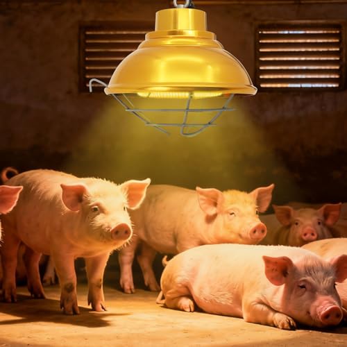 Dual Watt Heat Lamp for Chickens, Carbon Fiber Bulb (175/350W) | Chicken Coop Heater, 2 Temperature Adjustable, Hanging Heat Lamp for Chicks, Pets and Poultry