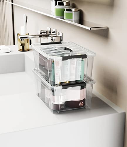 WYT Clear Storage Latch Bins, 6-Pack Storage Organizer Box with Handle and Lids, 5-Litre - color: Clear