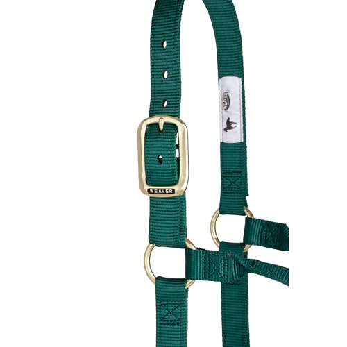 Weaver Leather Original Non-Adjustable Nylon Horse Halter, Hunter Green, Yearling