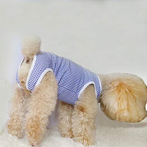 Dog’s Recovery Suit Post Surgery Shirt for Puppy, Wound Protective Clothes for Little Animals(Blue White Plaid-XXS) - color: blue white plaid, size: XX-Small