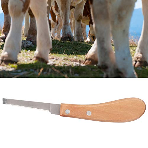 Sharper Hoof Knife, Left or Right Hand Farrier Tools, Carbon Steel Hoof Knife Trimming Tool for Cattle Horse Use, 21.5cm / 8.5 Inch Length, High Strength, Not Easy to Break (straight right hand)