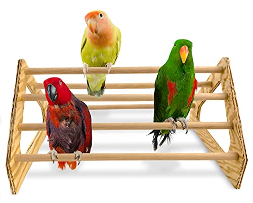 Chick Perch Strong Wooden Jungle Gym Roosting Bar Made in USA!!! Chicken Toys for Coop and Brooder for Baby Chicks El Pollitos La Pollita Pollos Gallinas Polluelos