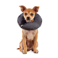 Well & Good by Petco Soft-Filled Recovery Dog Collar XX-Small/X-Small - size: XX-Small/X-Small