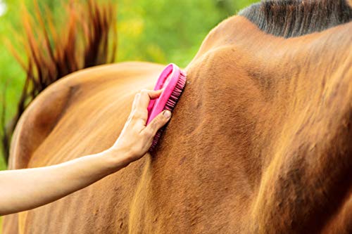 Intrepid International Magic Horse Brush, for Horse Grooming Kit w/Durable Plastic Bristles, Horse Brushes for Grooming, Removes Dirt, Sweat, Grime, Blue