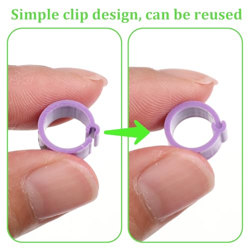 100 Pcs 8mm Birds Leg Rings, Pigeons Identification Leg Rings | Colorful Readable Numbered Pigeons Quail Chick Leg Bands Clip on Leg Rings for Baby Chick Bantam Finch Dove Small Birds
