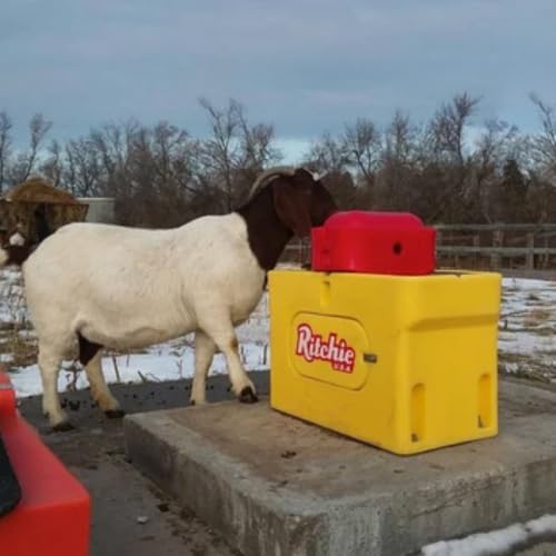 Ritchie Omni Fount 2 Automatic Heated Cattle, Horse Waterer - color: Yellow
