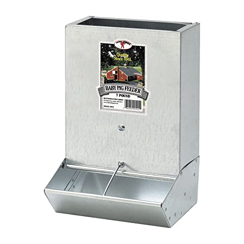Little Giant BPF2 Mountable 2 Hole Baby Piglet Trough Feeder, 7 Pound (2 Pack)