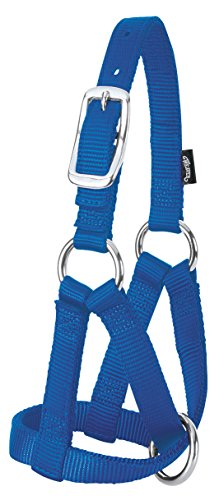 Weaver Leather LivestockWeaver Leather Livestock Goat Halter, Blue, 3/4" Large