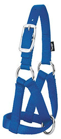 Weaver Leather LivestockWeaver Leather Livestock Goat Halter, Blue, 3/4" Large