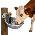 Totority Automatic Cow Water Bowl Stainless Steel Livestock Water Feeder Float Valve for Cattle Sheep and Pigs Convenient Self-Filling Design