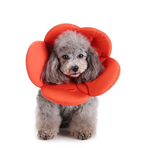 Dog Cone E-Collar Flower Soft Elizabethan Waterproof Grooming Recovery Protective Adjustable Collar for Puppy Small Medium Dogs (M Neck: 11-13in, Orange) - color: Orange, size: M Neck:11-13in