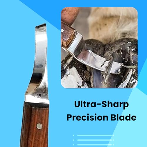 Hoof Knife Single Sided Edge Curved Blade – Stainless Steel Curved Blade Farrier Tool with Wooden Handle, Multipurpose Hoof Trimming Knife for Livestock, 3-Inch Blade, 8.5-Inch Overall - style: Curved Blade - RH