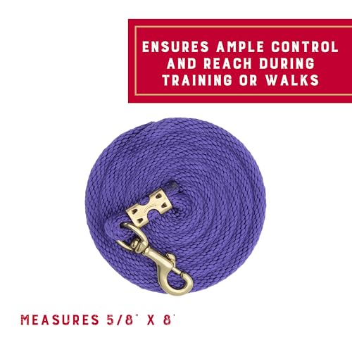 Weaver Equine Performance Lead Rope, Lime Zest, 8' Horse Value Rope with Brass Plated 225 Snap, Soft Comfort Grip, Barn Horse Tack for Daily Use - color: Purple