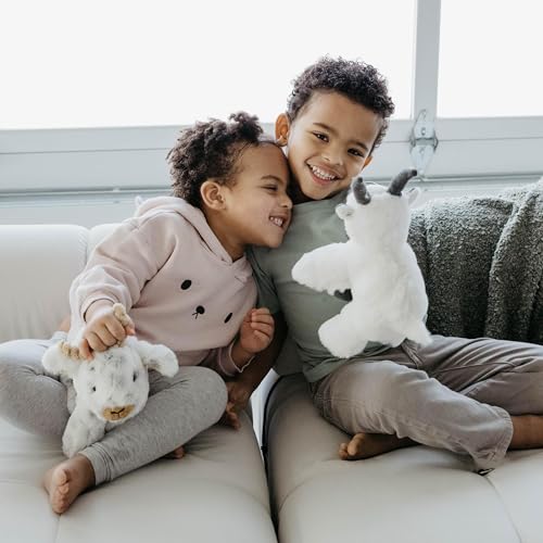 The Petting Zoo Mountain Goat Stuffed Animal, Wild Onez, Kids Gifts, 9 in | Mountain Goat Realistic Wildlife Animals by Zoologee. Great Toys for Girls and Boys. Plush Gifts for Kids