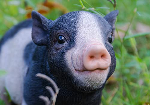 Hi-Line Gift Baby Pig Standing - Black and White