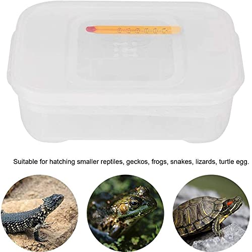 Reptile Egg Incubator Professional Hatcher Hatching Box Case Tray Plastic Breeding Incubator for Hatching Snake,Lizards, Reptiles,Gecko(12 Slots Without Thermometer) - size: 12 Slots Without Thermometer